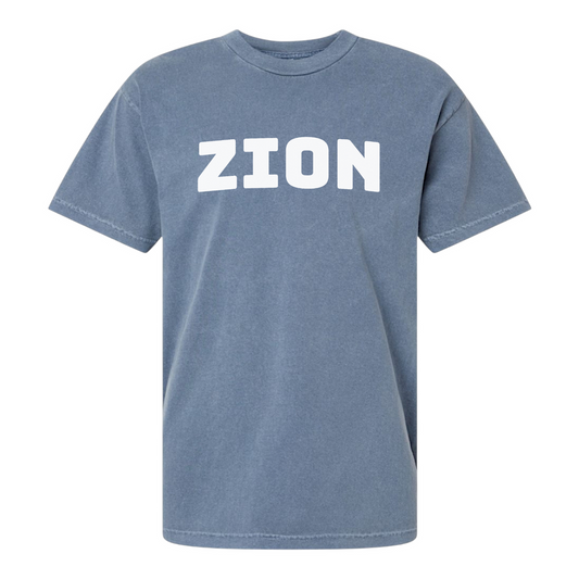 Zion x Roam Vintage Blue Tee