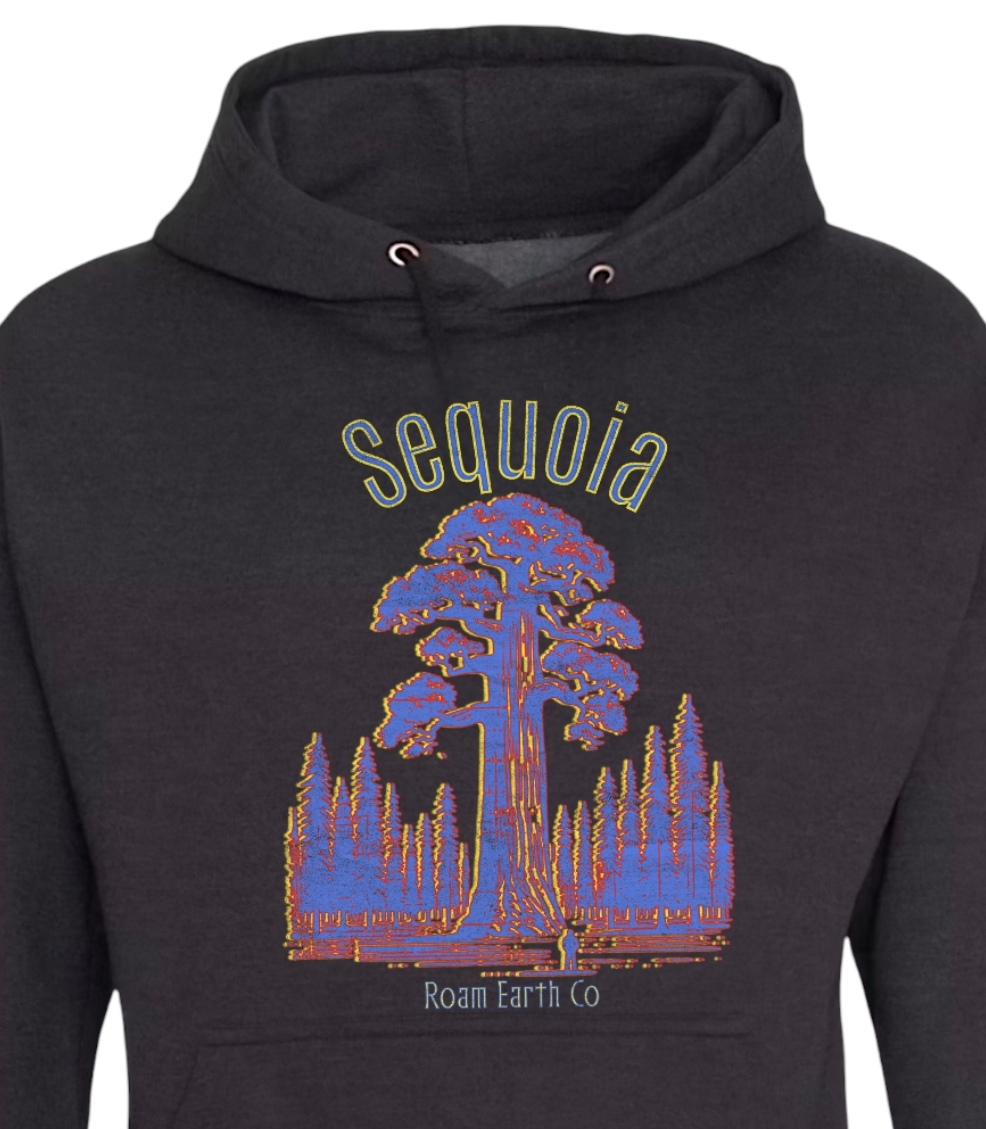 Sequoia x Roam Vintage Black Hoodie