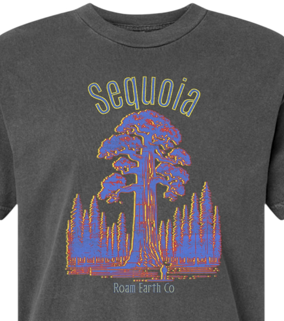 Sequoia x Roam Vintage Black Tee