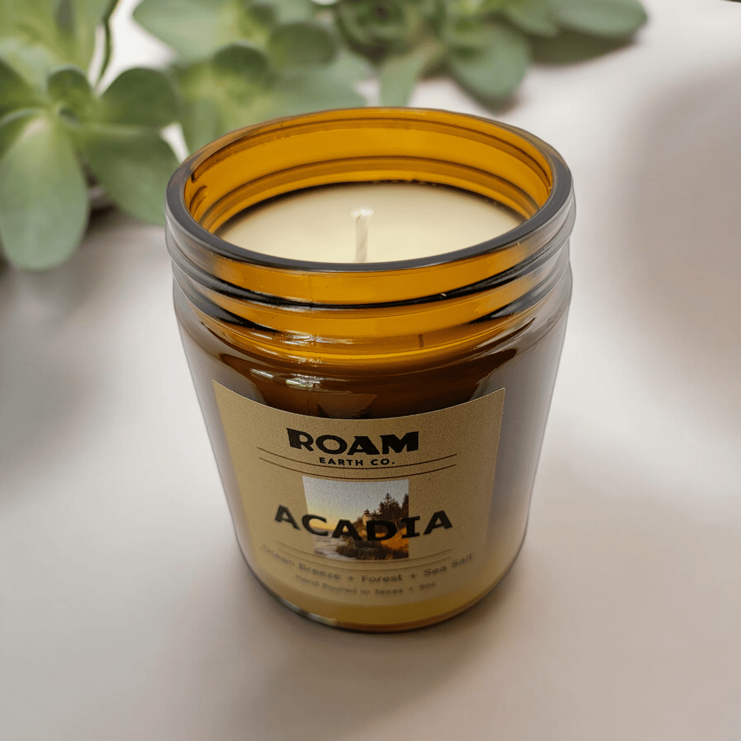 Acadia National Park Candle - Roam Earth Co.