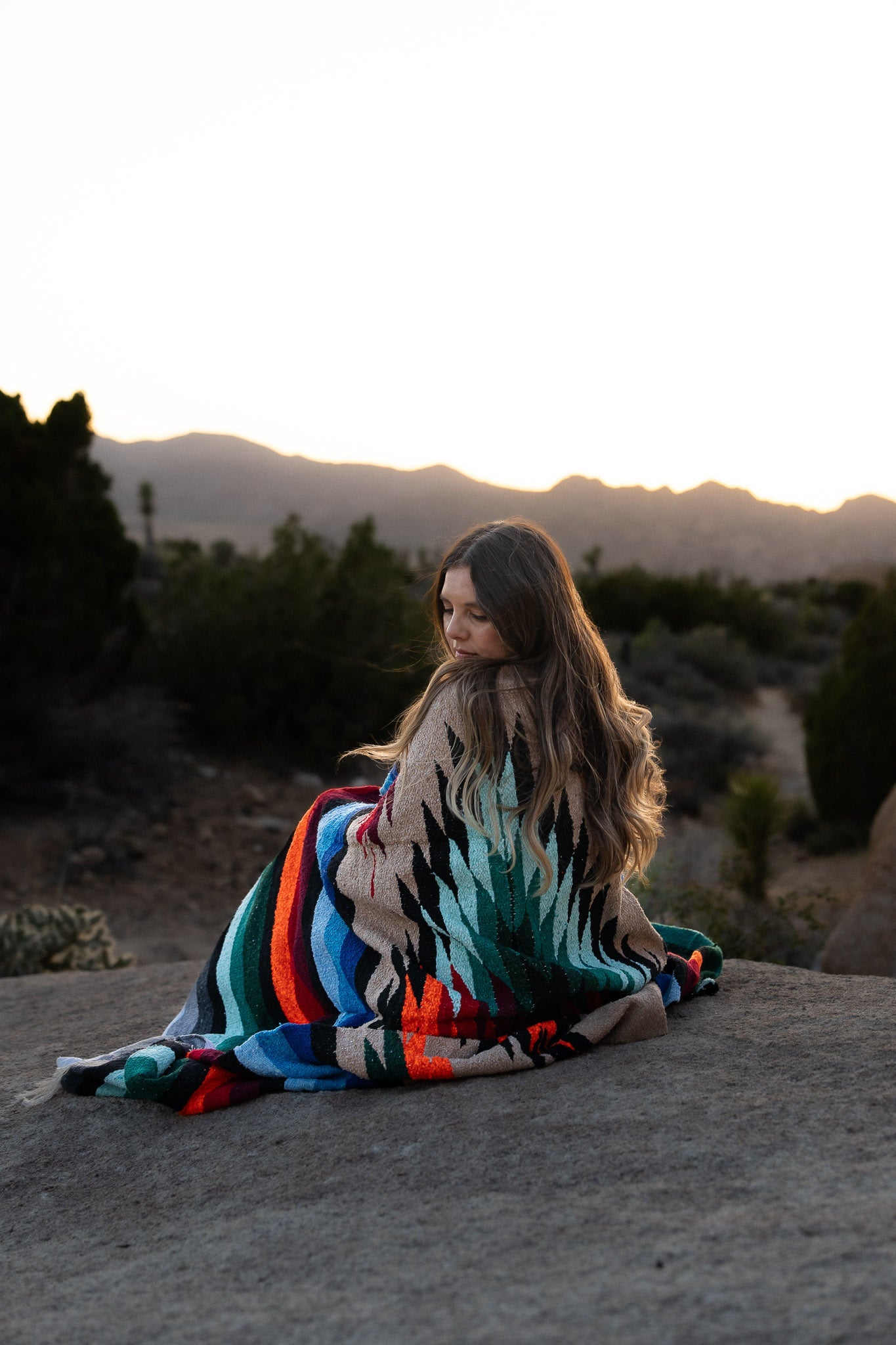 Joshua Tree Southwest Multicolor Blanket - Roam Earth Co.