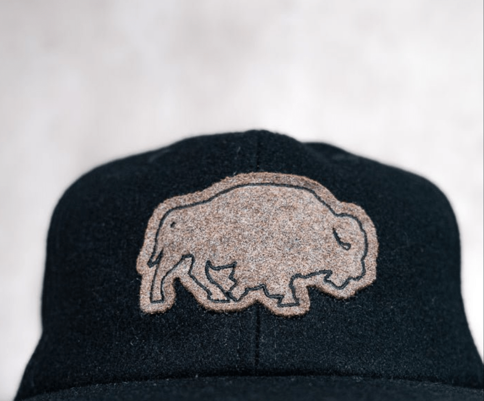 Vintage Wool Bison Cap - Roam Earth Co.