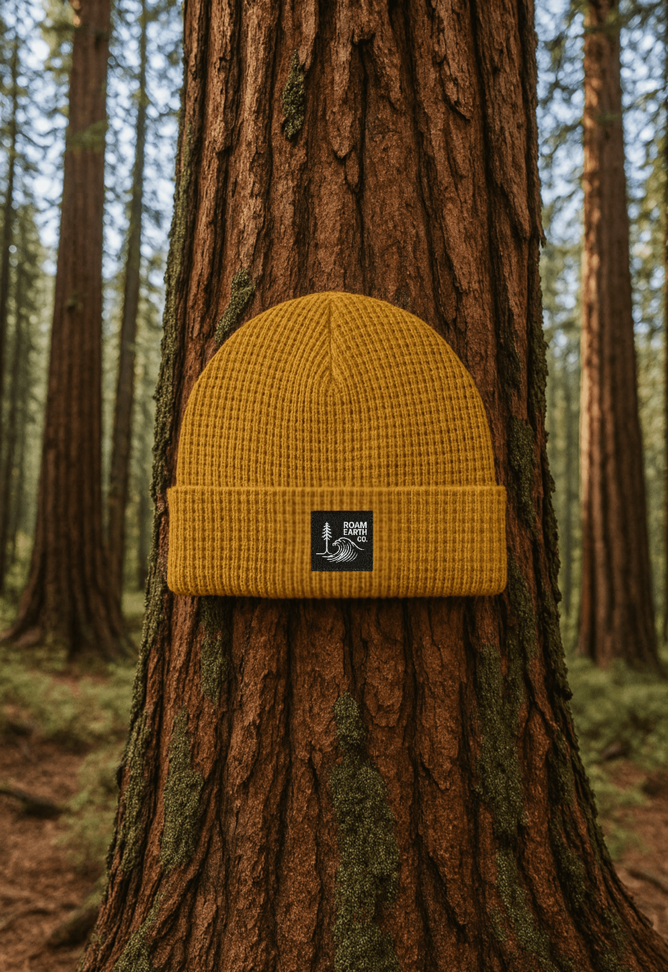 Waffle Knit Wool Wheat Yellow Beanie - Roam Earth Co.